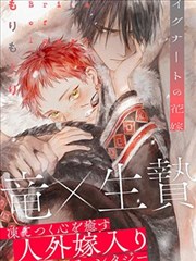 魔女传说与仪式设定卡配图